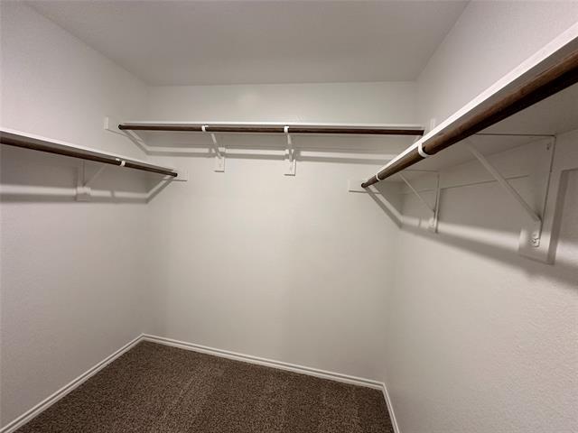 Building Photo - 3015 Serenity Ln