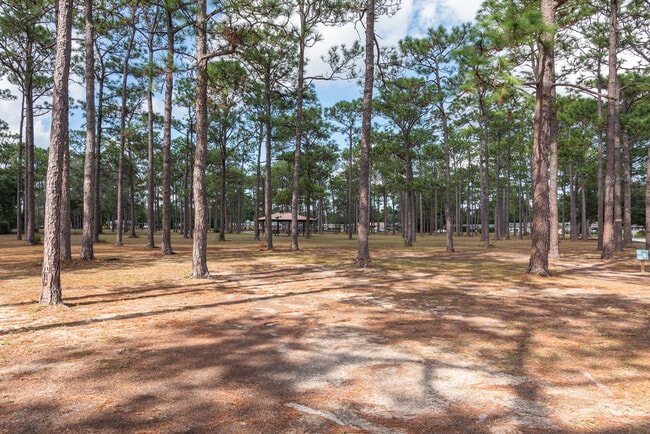 Building Photo - 3995 Tom Ln Dr