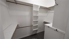 Building Photo - 307 Stoney Hills Ct