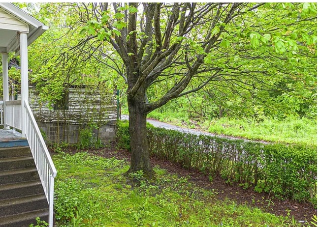 Building Photo - Large Newly Renovated 3 Bed/1 Bath Single ...