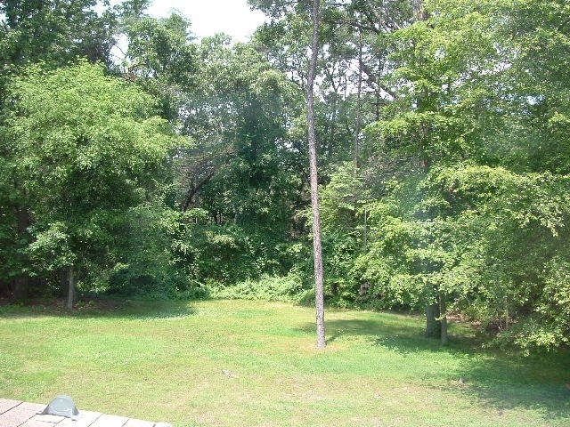 Backyard view - 1872 Cedar Dr