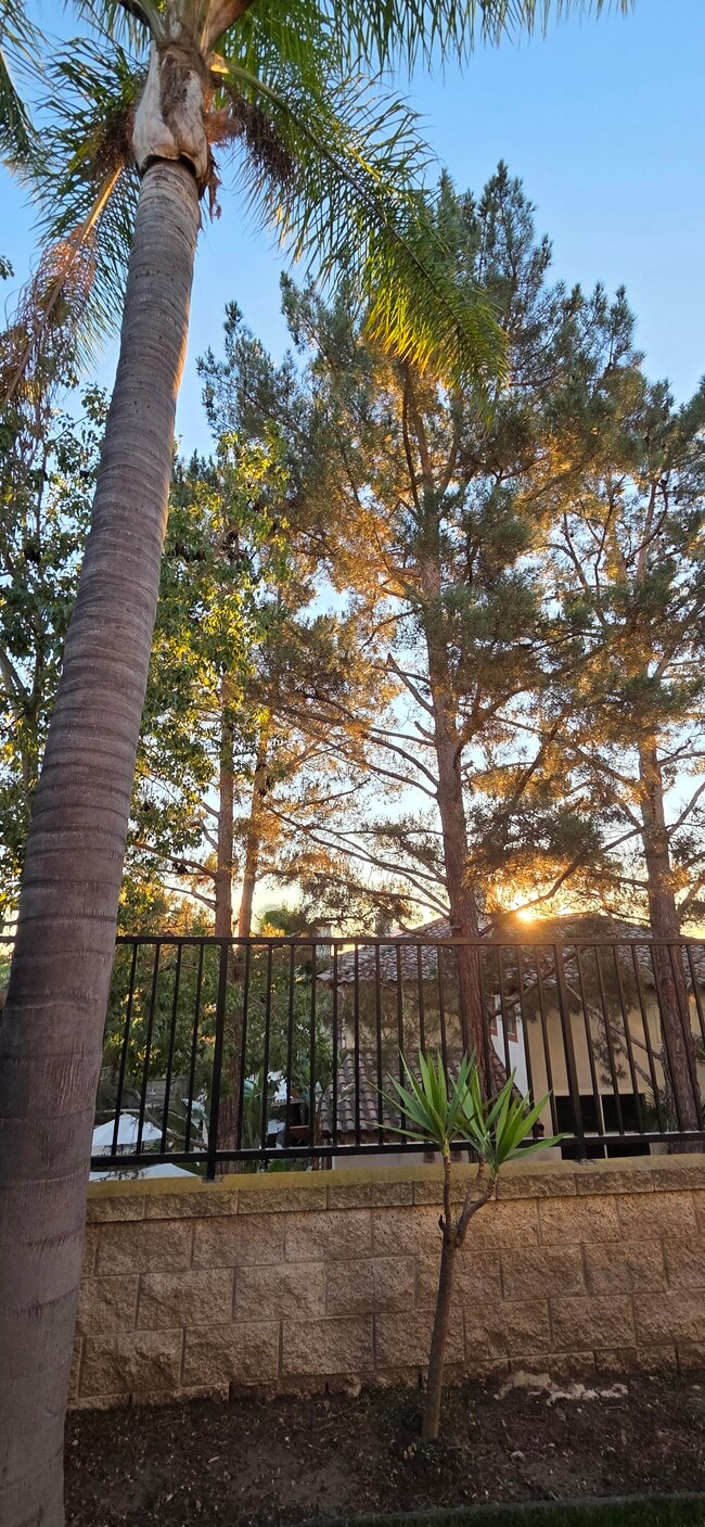 Building Photo - 22615 Summerfield