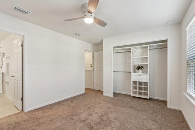 Building Photo - 72 Beach Palm Ct