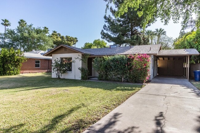 Building Photo - 1719 S El Camino Dr