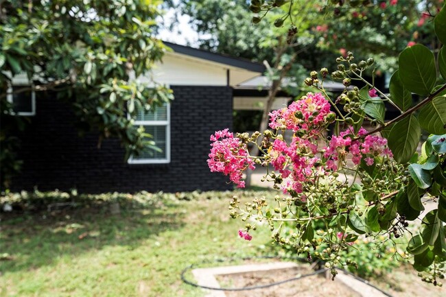 Building Photo - 3002 Brinwood Ave