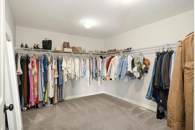 Building Photo - Absolutely stunning woodbury property for lease!