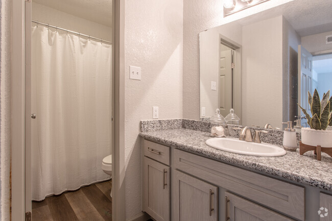 1 BR, 1 BA - 700 SF - Mira Bella