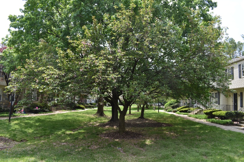 Building Photo - 7001 Roslyn Ave