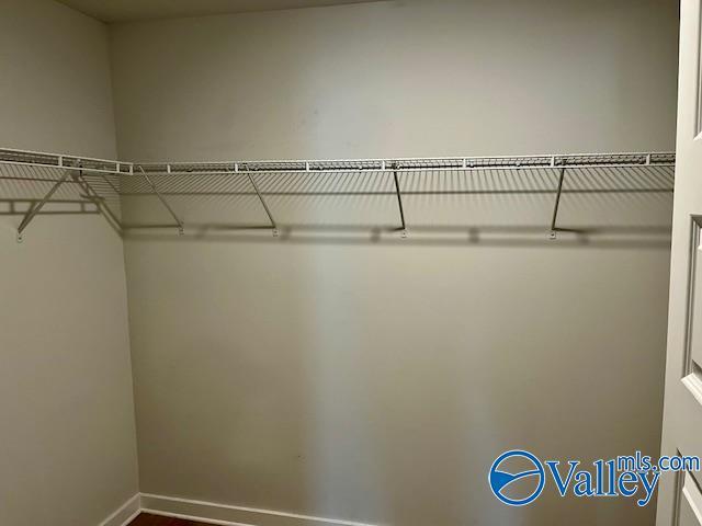 Building Photo - 6036 Stonewater Ct