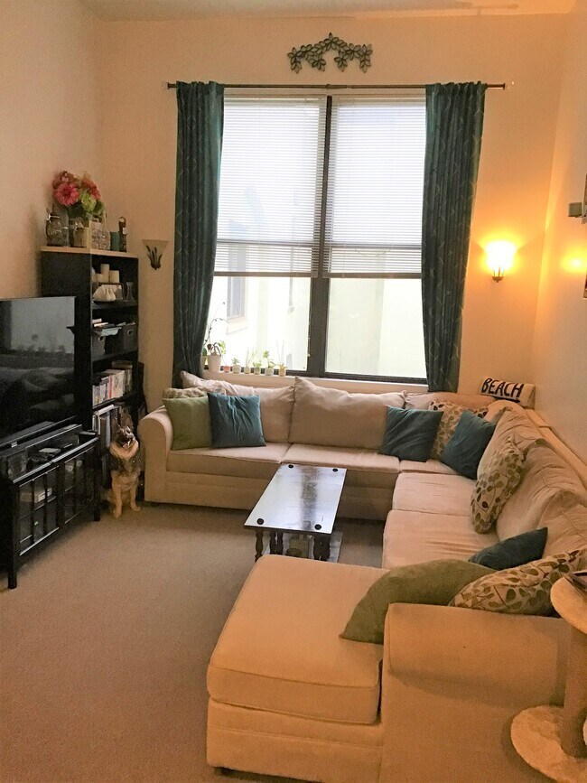 Living Room - 75 McKinley Ave