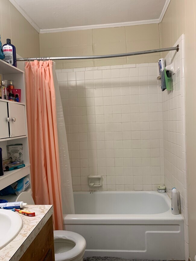 Building Photo - 204 Boxtel St