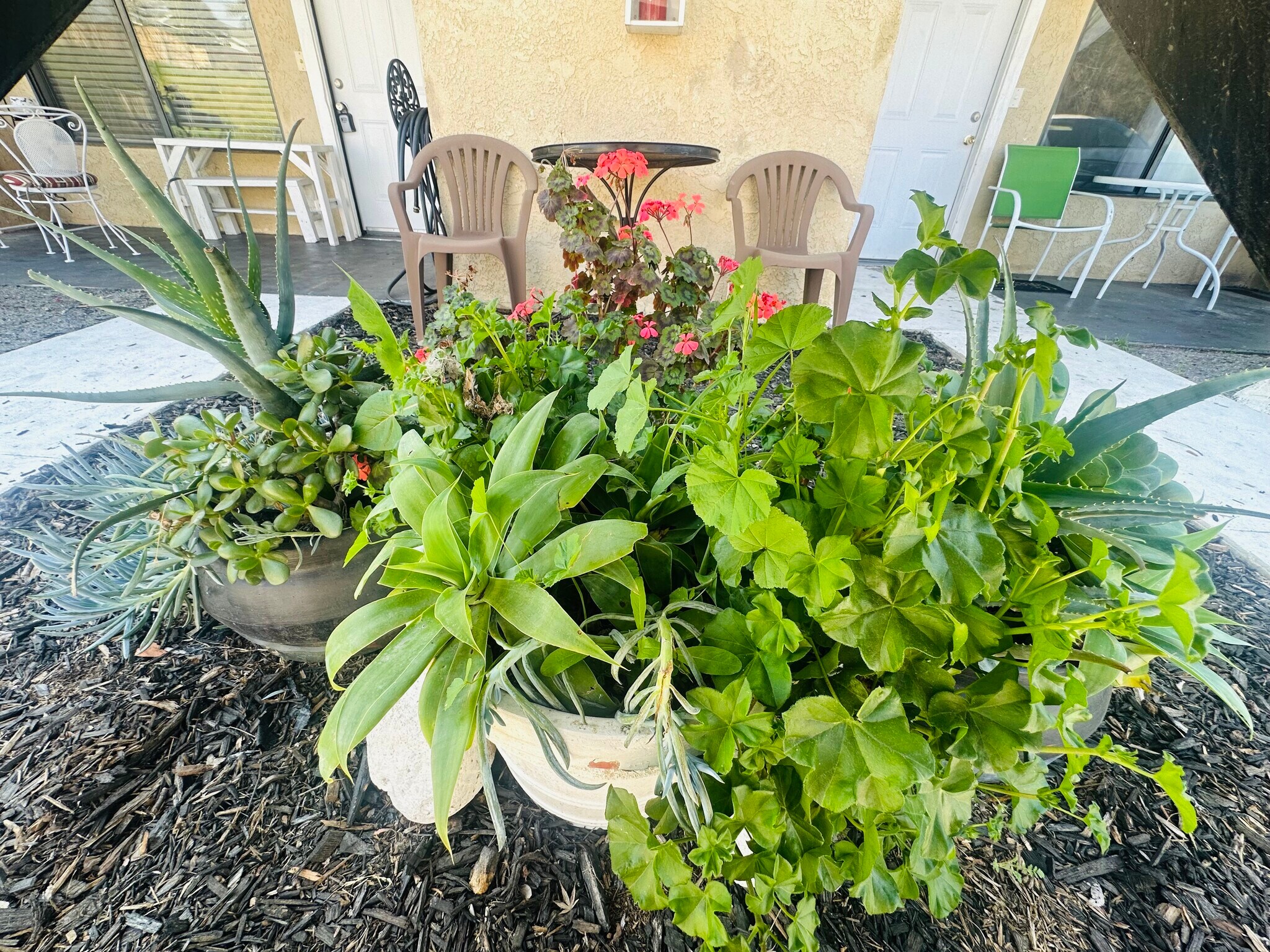 Building Photo - 6005 Hill Dale Ct