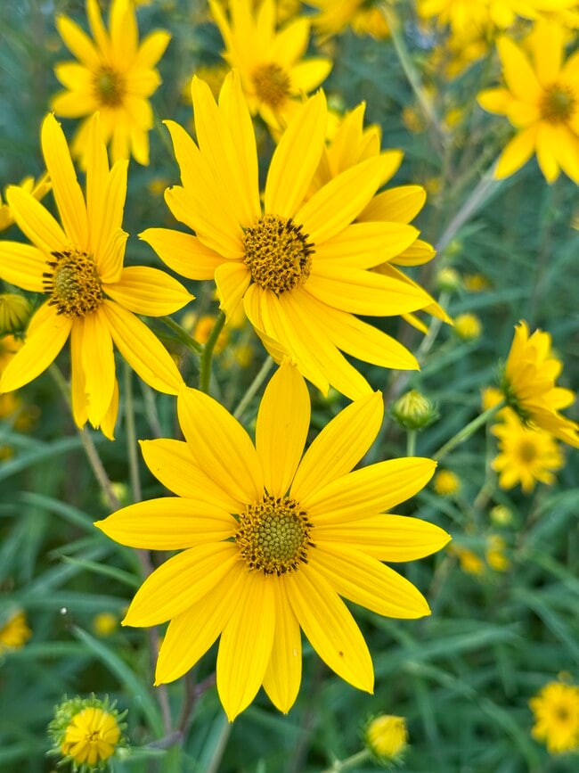 Building Photo - 2708 Shandy Ln