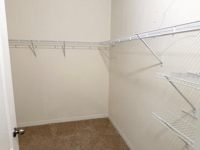 Building Photo - 709 Versailles Ln