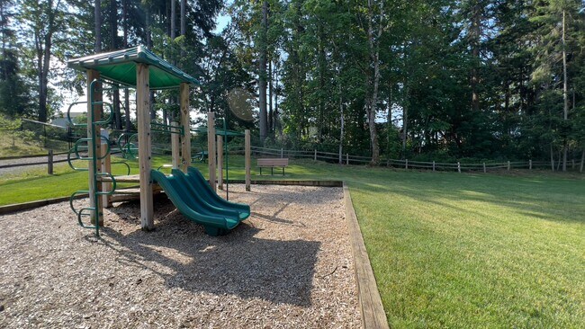 Building Photo - 5+ Bedroom Home in NE Lacey on Large Lot with Long Lake access plus A/C!