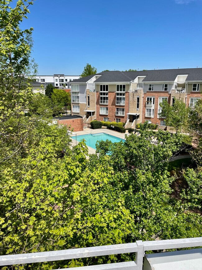 Building Photo - 3817 Picasso Ct