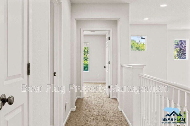 Building Photo - 3729 Archetto Dr