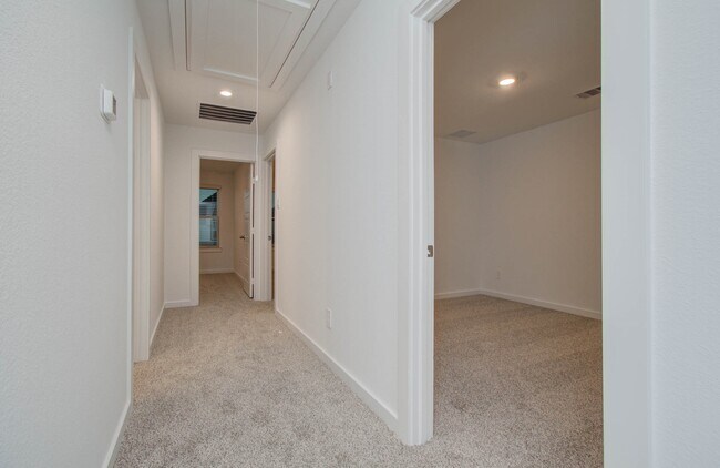 Building Photo - 12312 Frisco Cv Ct