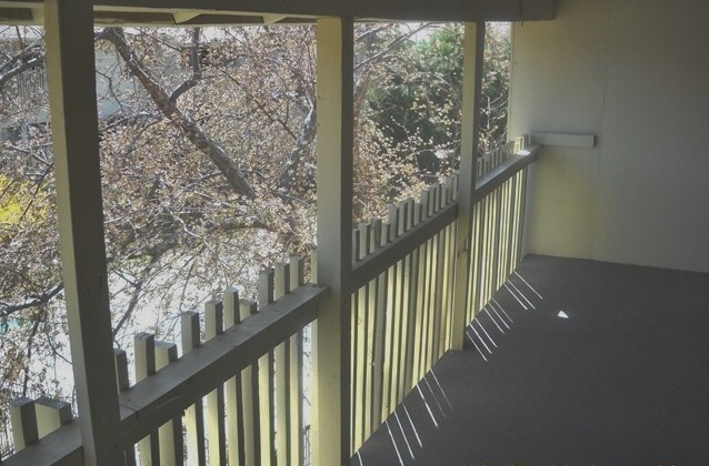 Building Photo - Brand new beautifully renovated Condo with...