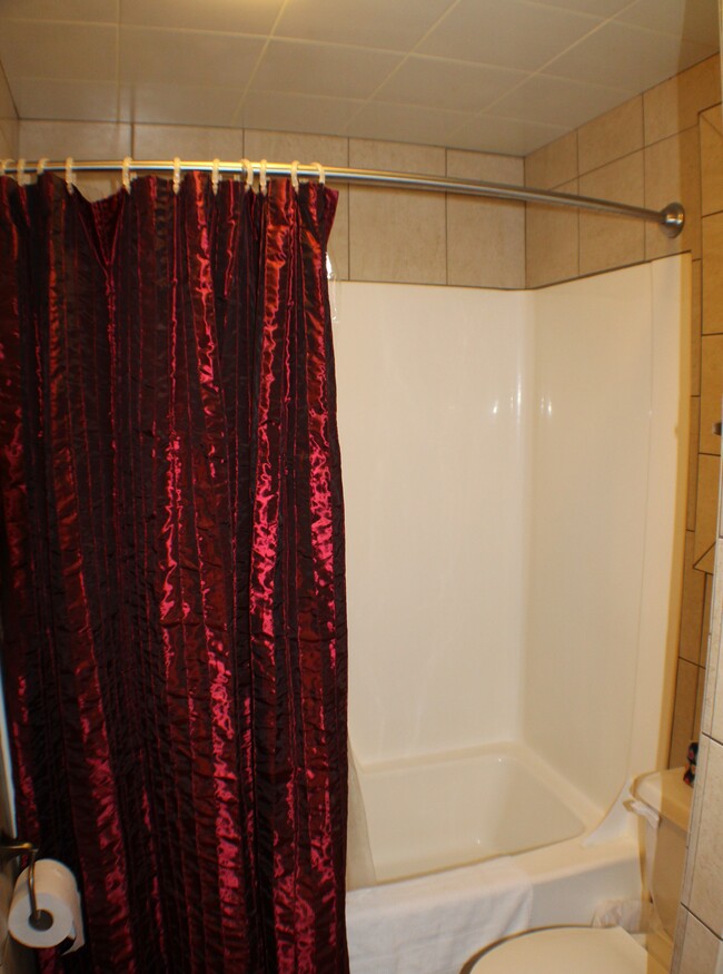 Bathroom #1 with tub/shower combo - 115 River St