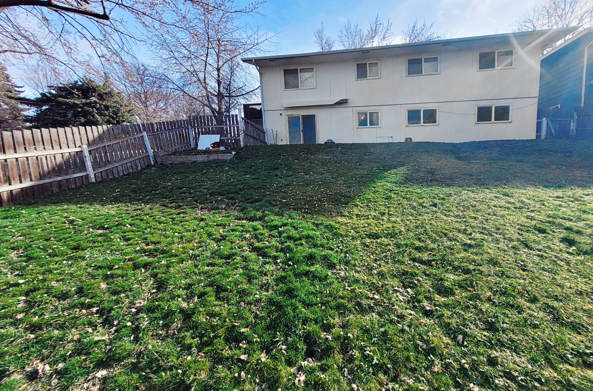 Exterior; Large fenced backyard with grass - 649 N Hayes St
