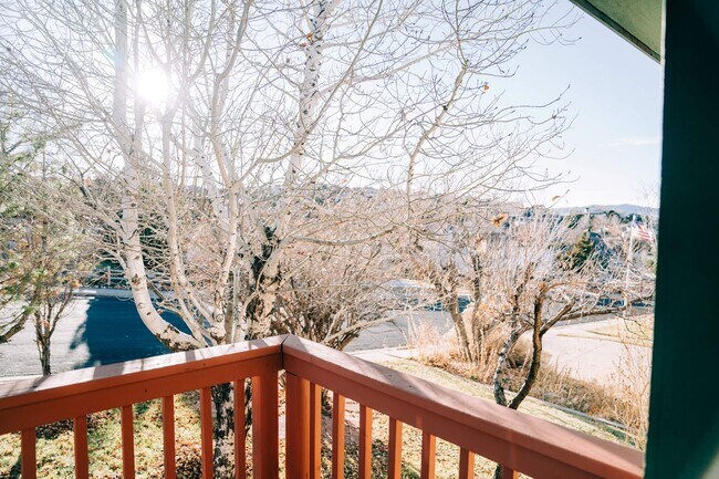 Building Photo - SMALL DOG FRIENDLY!!!  Meadow Street House