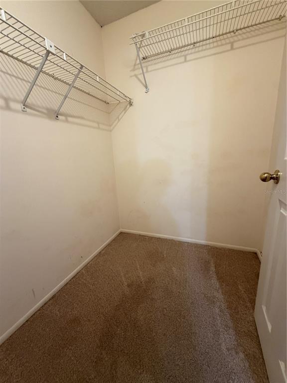 Building Photo - 304 Baywest Neighbors Cir