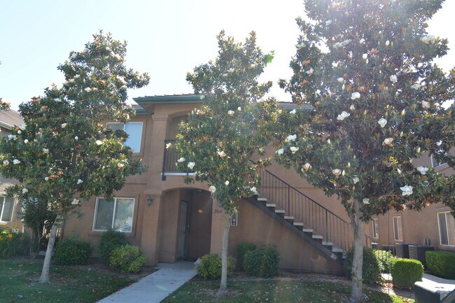 Primary Photo - 2860,62,64,66 N. Terrace