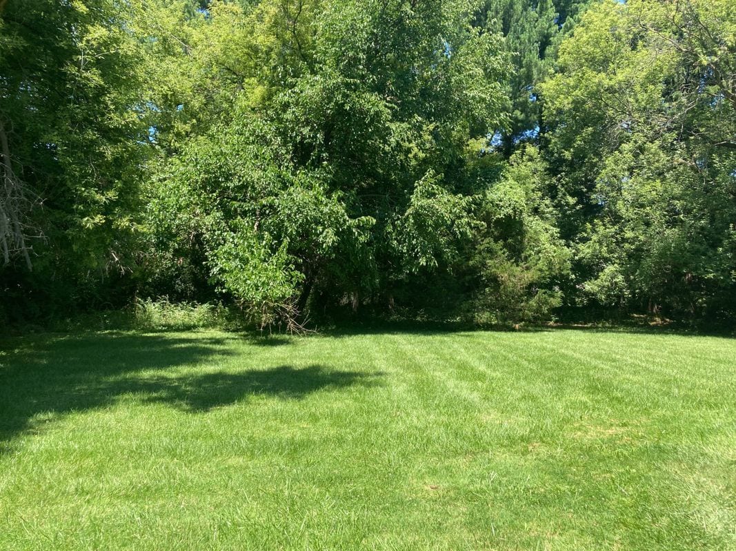 Building Photo - 11231 29 Mile Rd