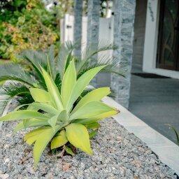 Building Photo - 2506 Bimini Ln