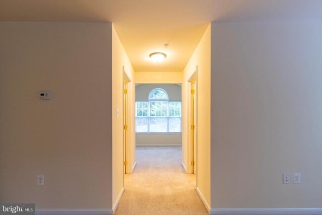 Building Photo - 8401 Hollow Tree Ln