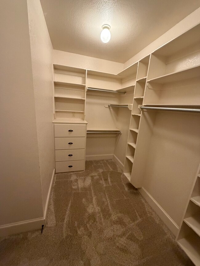 Building Photo - 1019 Stagecoach Bend