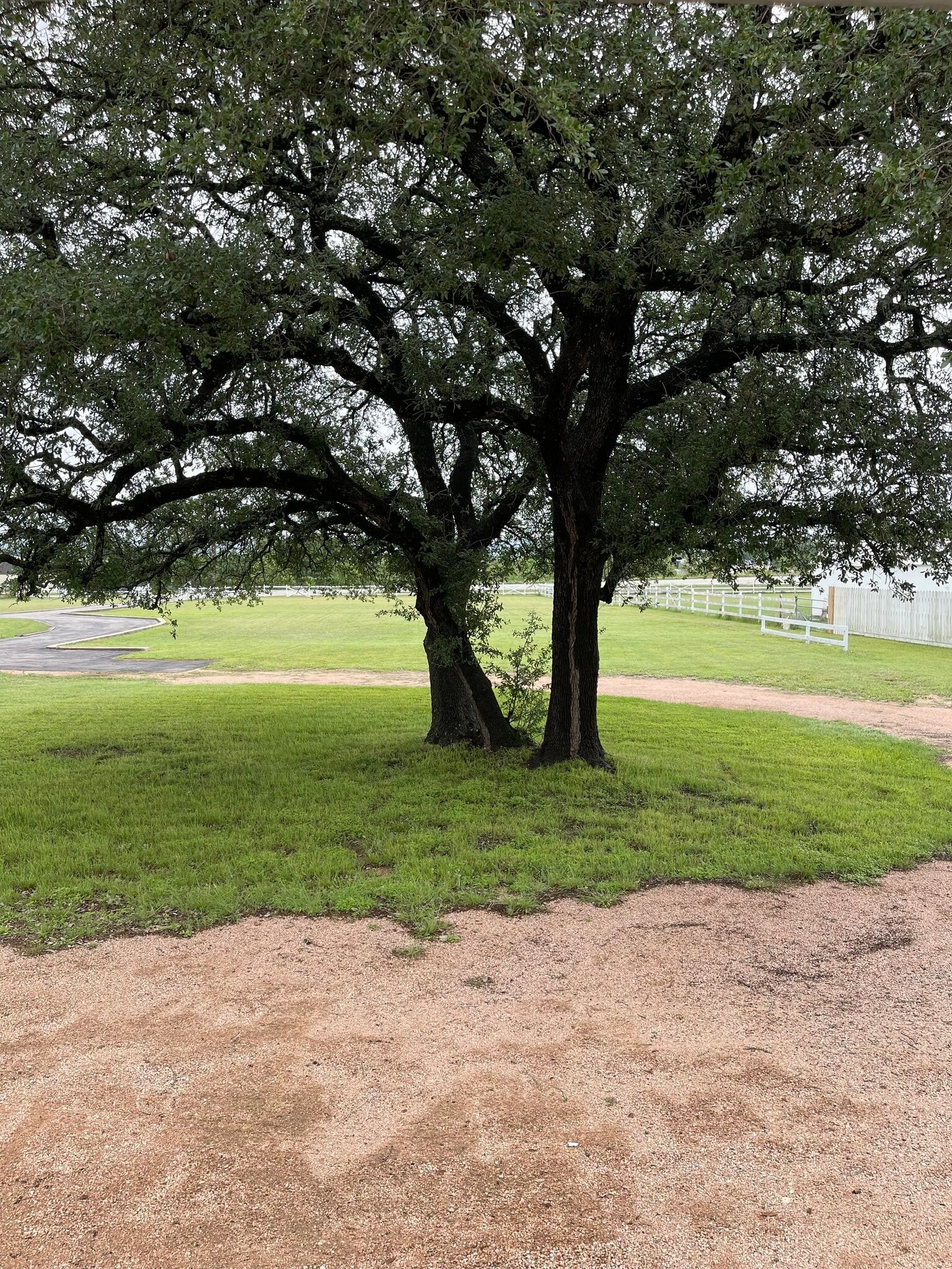 Building Photo - 3656 FM 2657