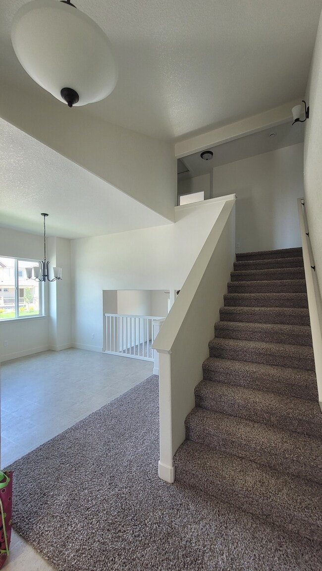Building Photo - 438 Halcyon Wy