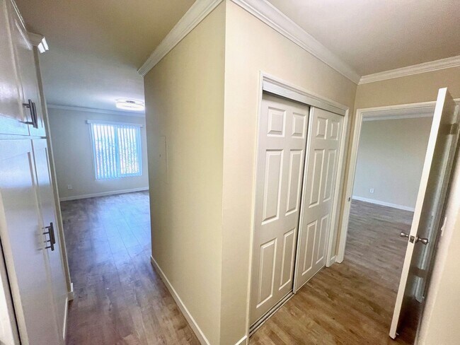 Building Photo - Newly Renovated 3rd Floor with View - One ...