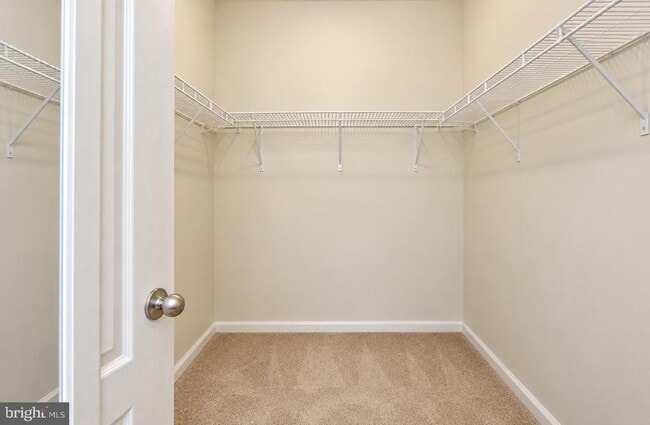 Building Photo - 4822 Forest Pines Dr