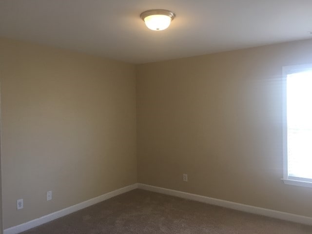 Building Photo - 1175 Cynthia Ln