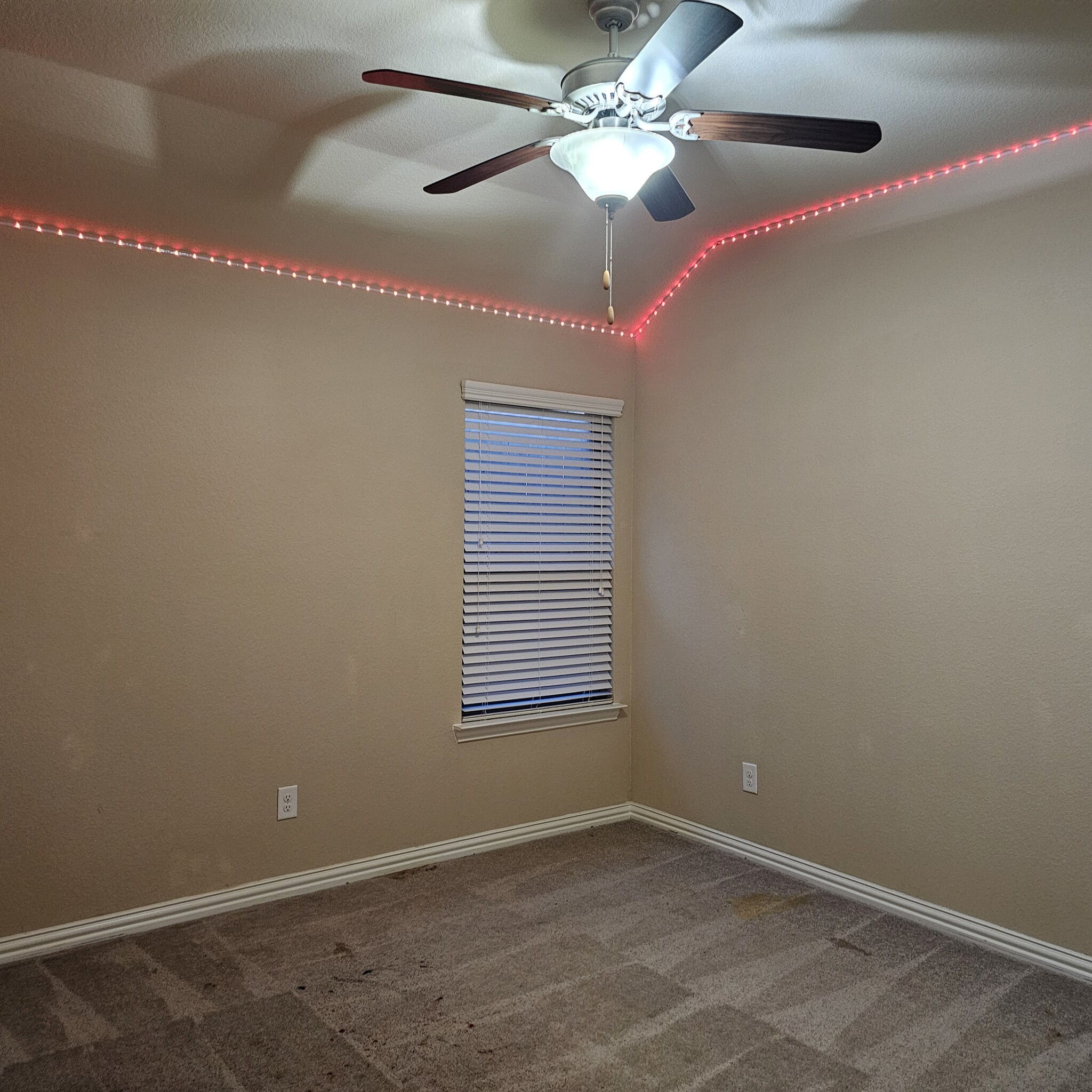 Bedroom 2 - 905 Avian Dr