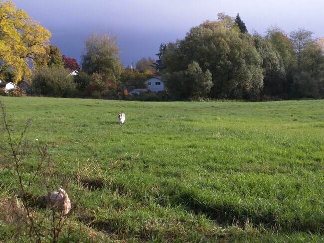 Building Photo - Farm House