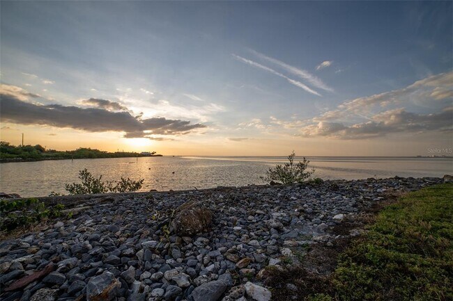 Building Photo - 5000 Culbreath Key Way