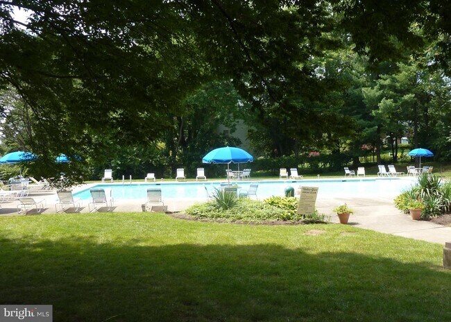 Outdoor summer pool - 313 Glen Ln