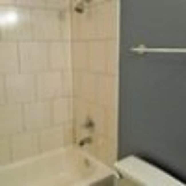 Bathroom - 1528 S Wabash Ave