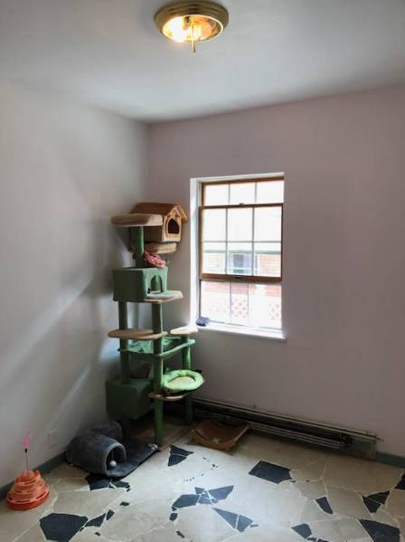 Building Photo - 43-75-75 163rd St