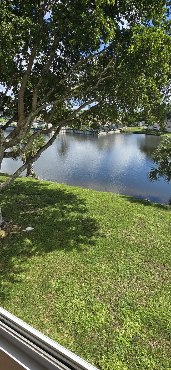Primary Photo - 8465 Sunrise Lakes Blvd