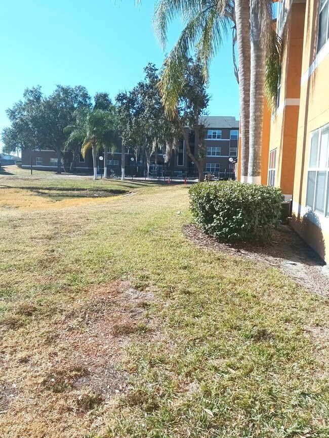 Building Photo - V1113