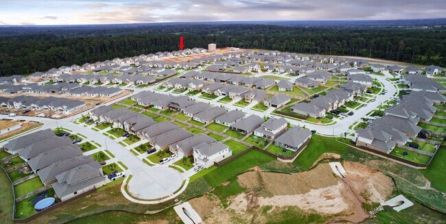 Building Photo - 1069 Dancing Feather St