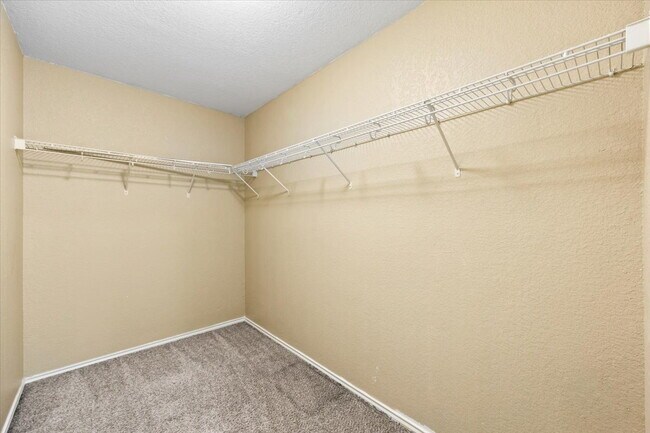 Building Photo - Spacious 4 Bedroom Home in Prime Medical Center Location