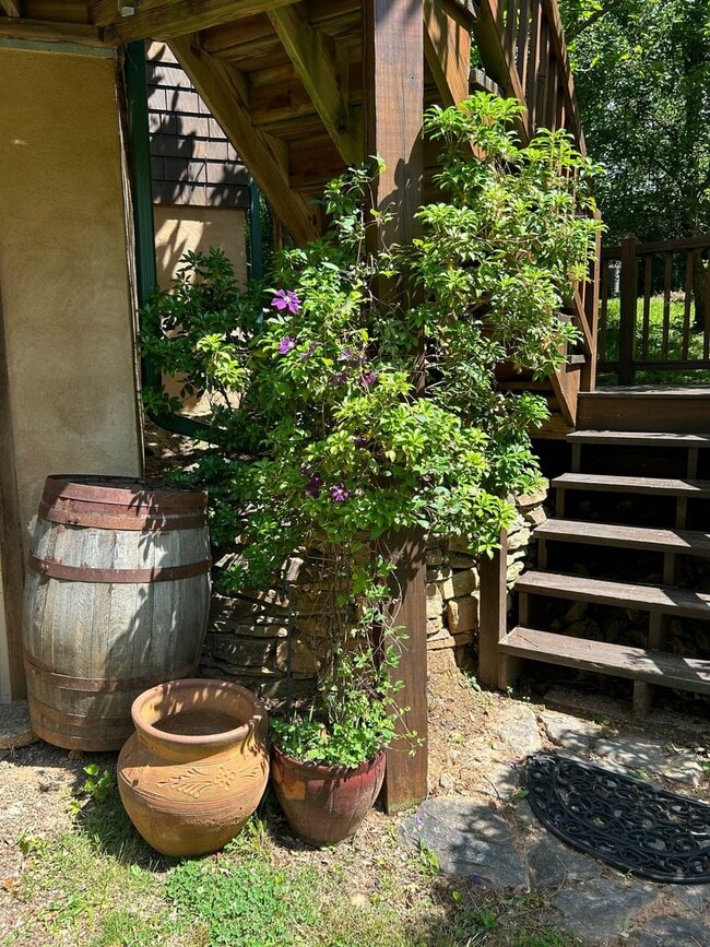 Building Photo - East AVL - Beautiful Zen Garden Apt with Sauna!