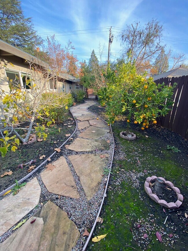 Building Photo - 385 Maureen Ln