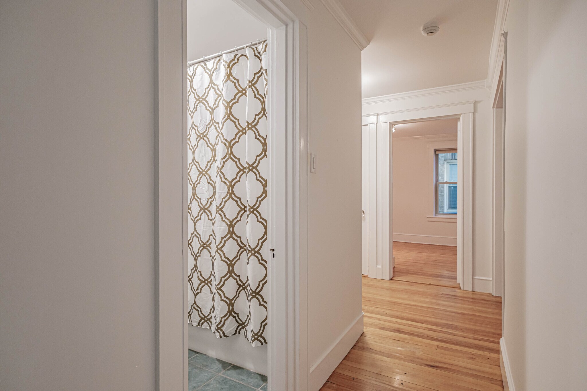 Building Photo - 197 Pine St